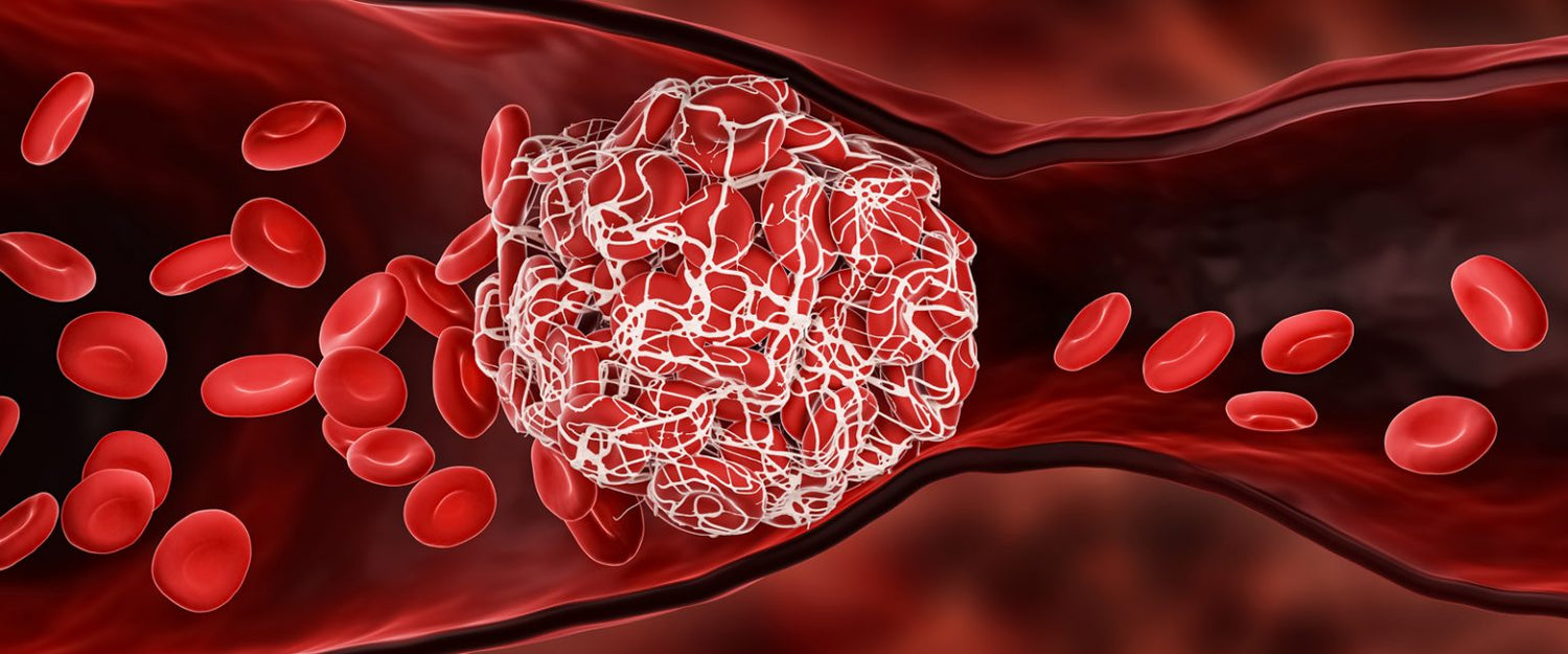 Pine Needle Tea As An Anticoagulant To Combat Blood Clots?