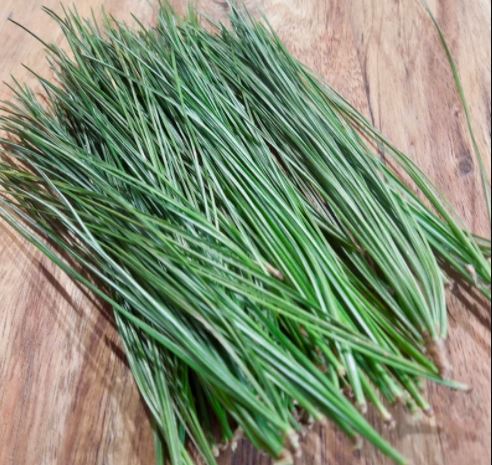 Spike Protein Detox Guide Including Pine Needle Tea