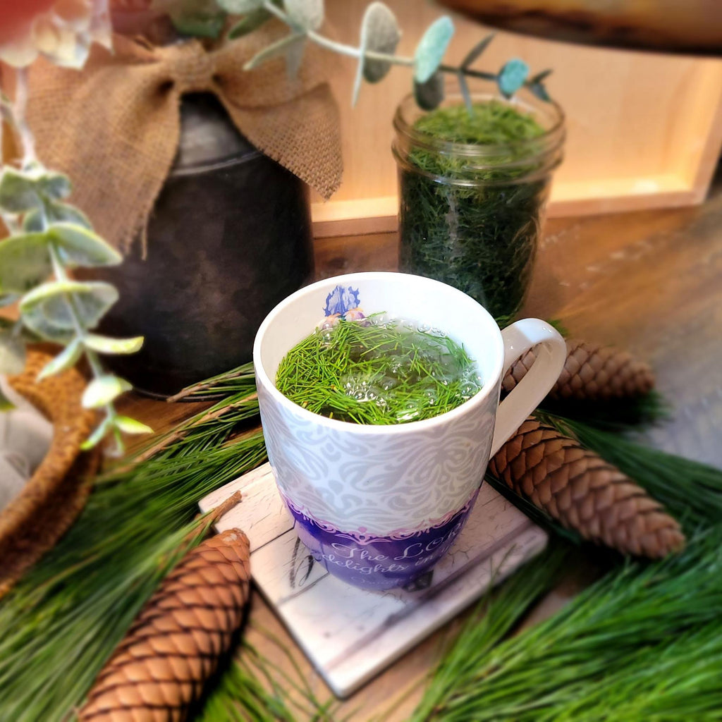 Pine Needle Tea Benefits - What's All the Buzz About?