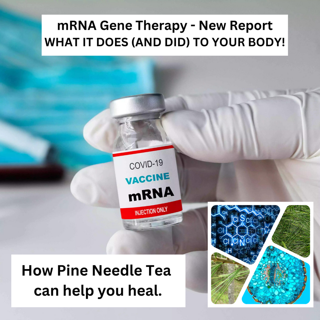 New Report Out:  What They Did (And Did Not) Know About the mRNA Gene Therapy "Vaccines"