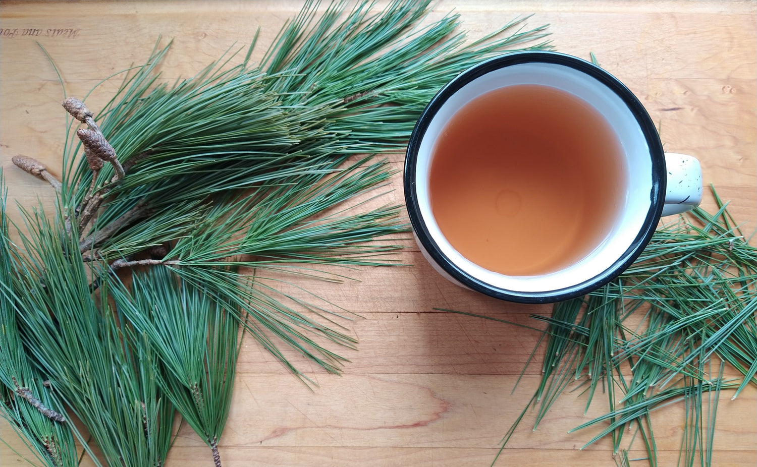 IMMUNE BOOSTING Pine Needle Tea