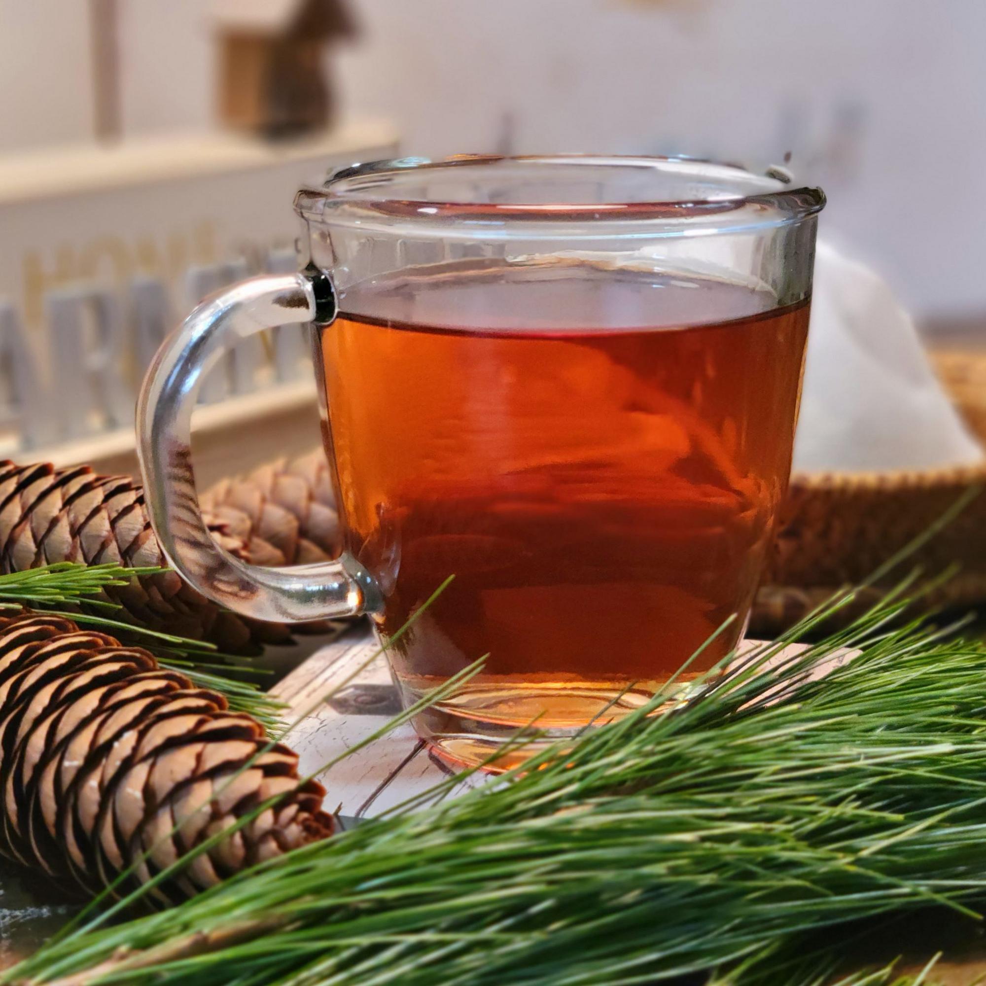 Immune Boosting Pine Needle Tea - Fresh Loose Pine Needles