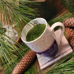 Immune Boosting Pine Needle Tea - Fresh Loose Pine Needles